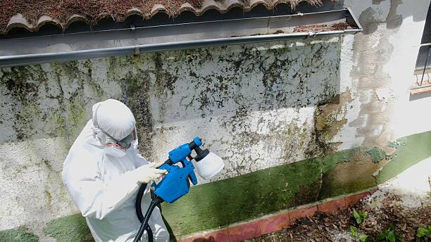 Top rated local Mold Remediation specialists in Fords, NJ